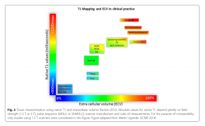 図1　各種疾患におけるnative T1とECVの特徴 文献[11]　より引用　　